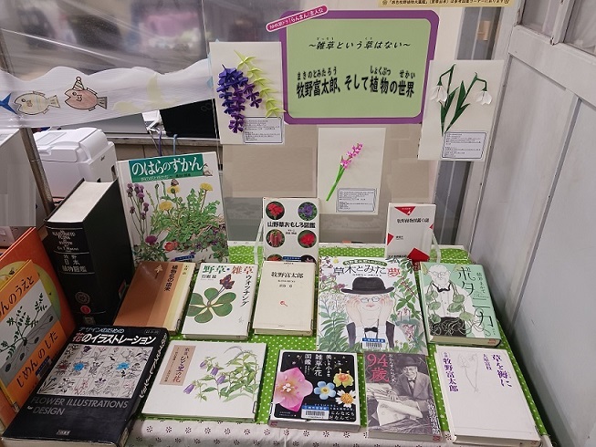 雑草という草はない 牧野富太郎、そして植物の世界」特別展示開催中